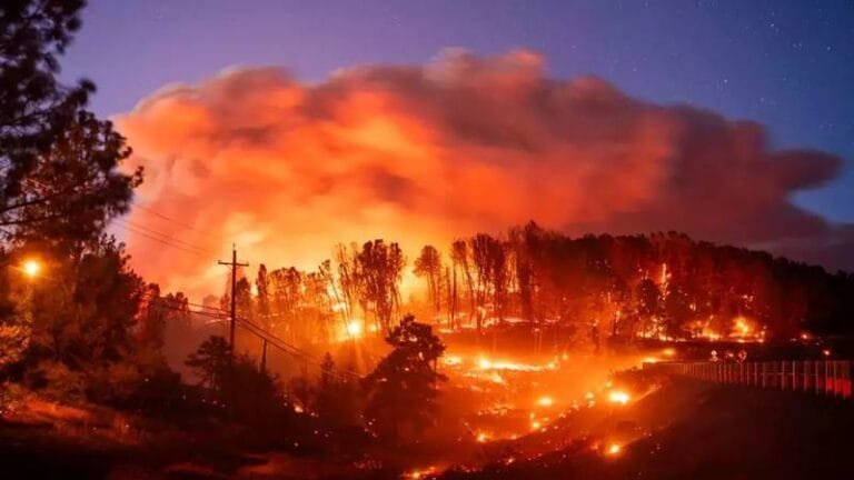 California Fire