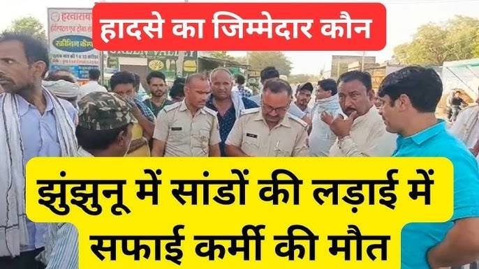 Jhunjhunu mein saandon ki ladaai bani jaanleva – Nagar Palika karmachaari ki dardnaak maut, parivaar par toota dukhon ka pahaad