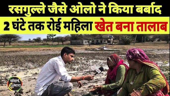 झुंझुनूं में ओलावृष्टि ने मचाई तबाही: खेत बर्बाद, किसान बेबस