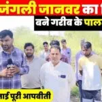 Wild animal attacks Jhunjhunu's Harsawa, spreading fear among villagers
