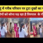 Tragic accident in Jhunjhunu: Farmer's pregnant cow dies due to electric shock