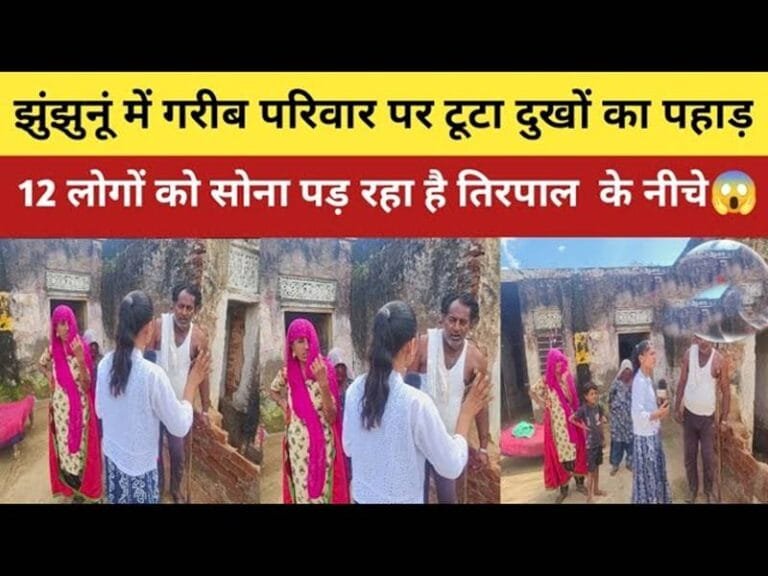 Tragic accident in Jhunjhunu: Farmer's pregnant cow dies due to electric shock