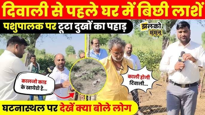 Wild Animal Attacks in Jhunjhunu: Farmers Lose Livestock, Demand Government Action