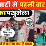 Todpura, Jhunjhunu: Shekhawati’s First Buffalo and Cow Fair Brings Fresh Hope for Farmers