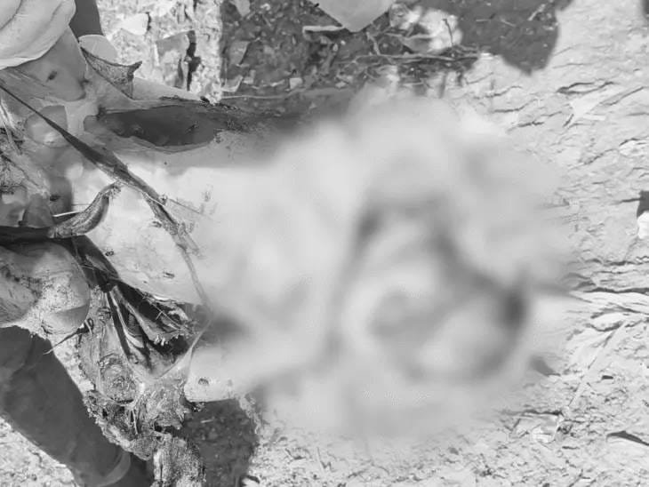 Murder of two-day-old newborn girl: Body found in garbage heap, strangulation confirmed