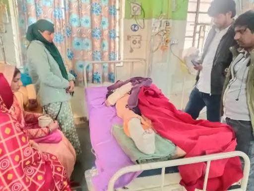 Wild boar terror in Jasrapur: Two women injured in sudden attack